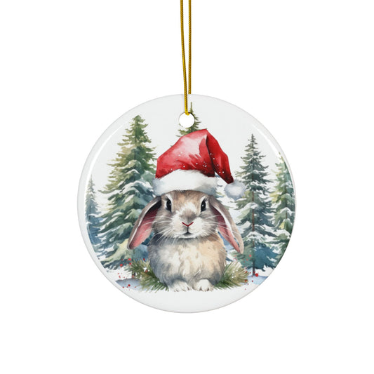 Baby Bunny Ceramic Ornaments - 2-Sided Christmas Decor