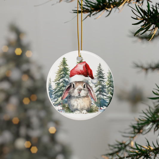 Baby Bunny Ceramic Ornaments - 2-Sided Christmas Decor