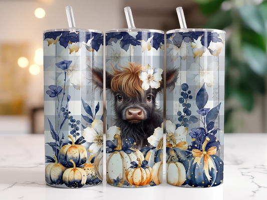 Highland Cow