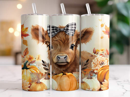 Highland Cow