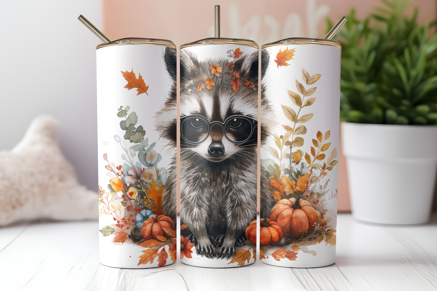 Fall Racoon