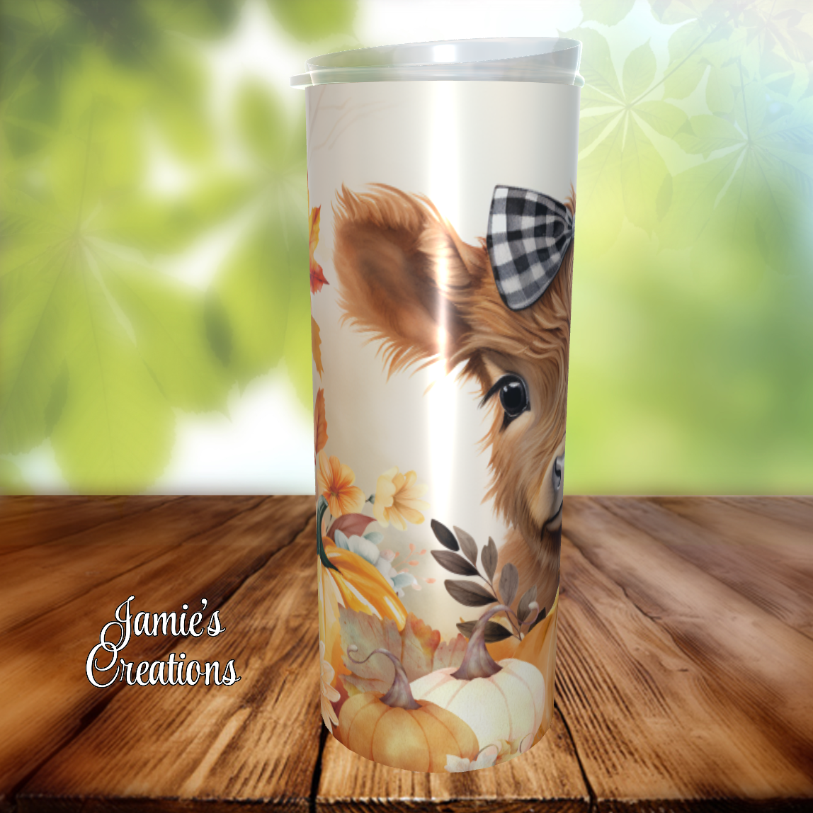 Highland Cow